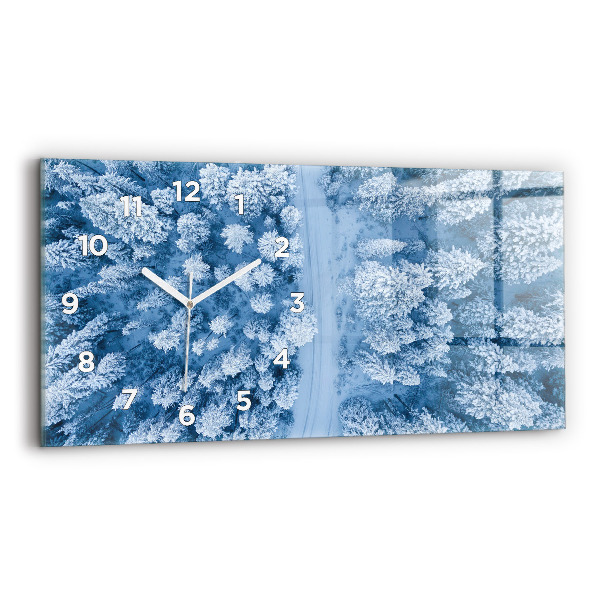 Vízszintes üvegóra Erdő madártávlatból Drón