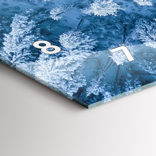 Vízszintes üvegóra Erdő madártávlatból Drón