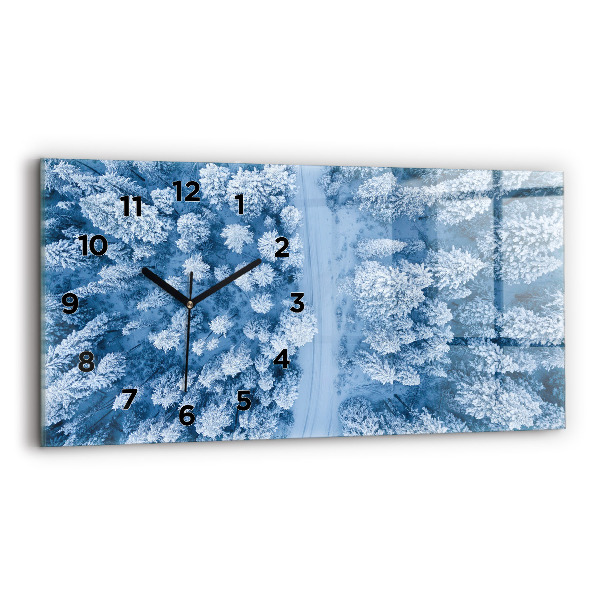 Vízszintes üvegóra Erdő madártávlatból Drón