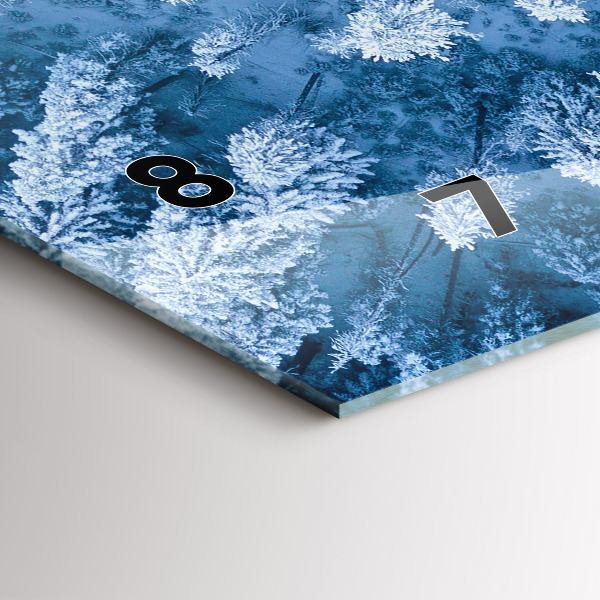 Vízszintes üvegóra Erdő madártávlatból Drón