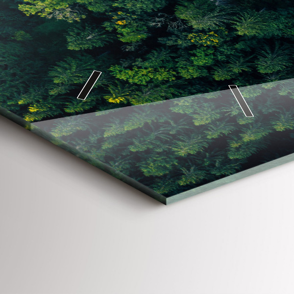 Vízszintes üvegóra Erdő madártávlatból