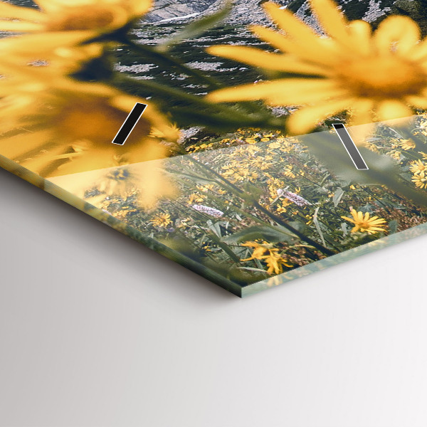 Vízszintes üvegóra Réti virágok a hegyekben