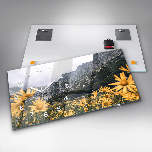 Vízszintes üvegóra Réti virágok a hegyekben