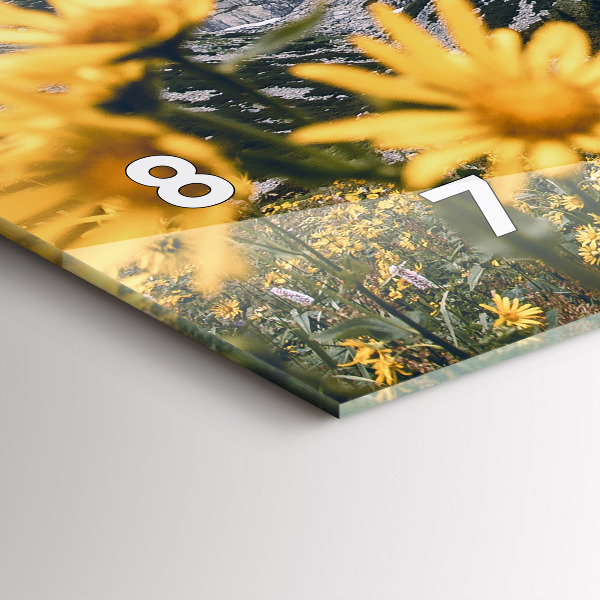 Vízszintes üvegóra Réti virágok a hegyekben