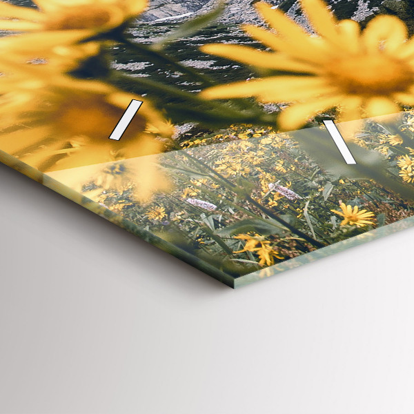 Vízszintes üvegóra Réti virágok a hegyekben