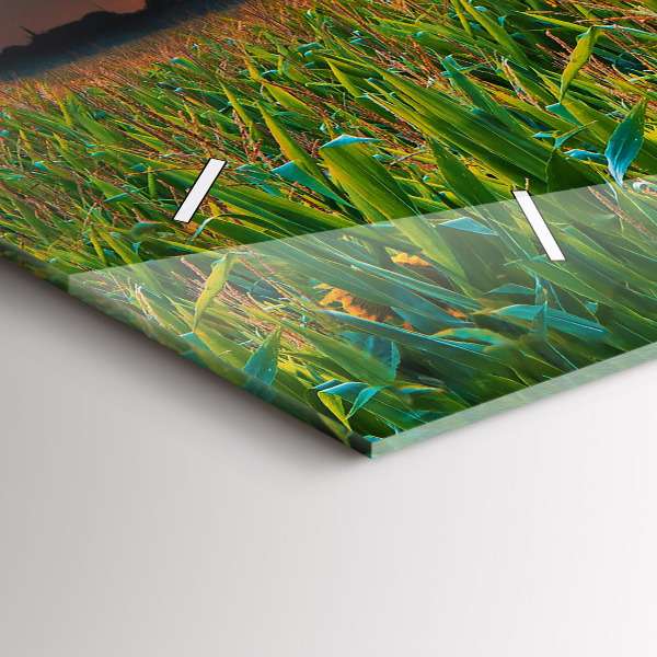 Vízszintes üvegóra Napraforgó a réten