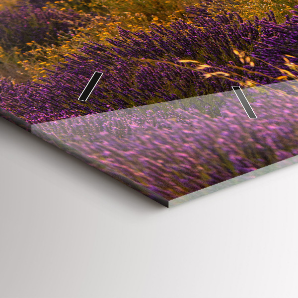 Vízszintes üvegóra Levendula rét Franciaország