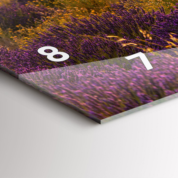 Vízszintes üvegóra Levendula rét Franciaország