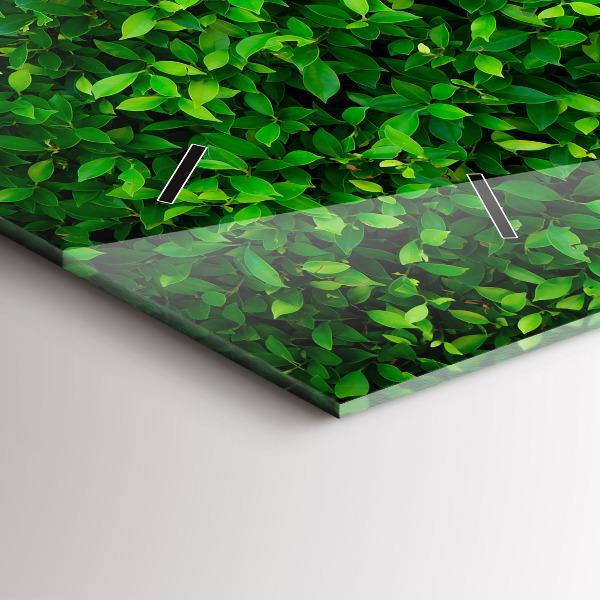 Vízszintes üvegóra Sövénylevelek