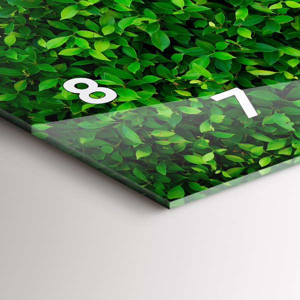 Vízszintes üvegóra Sövénylevelek