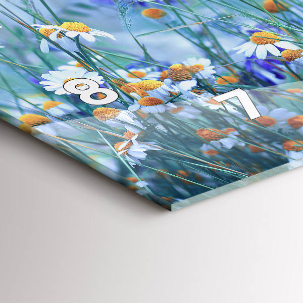 Vízszintes üvegóra Pillangó a réten