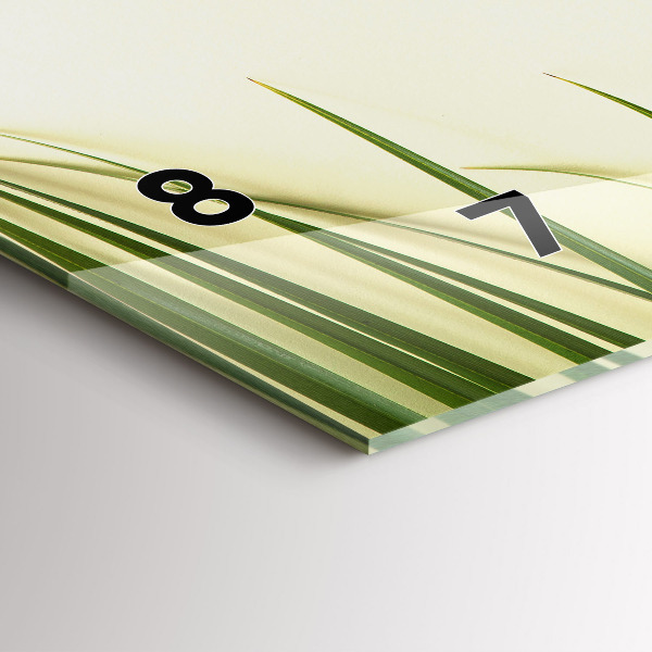 Vízszintes üvegóra Monstera levelek