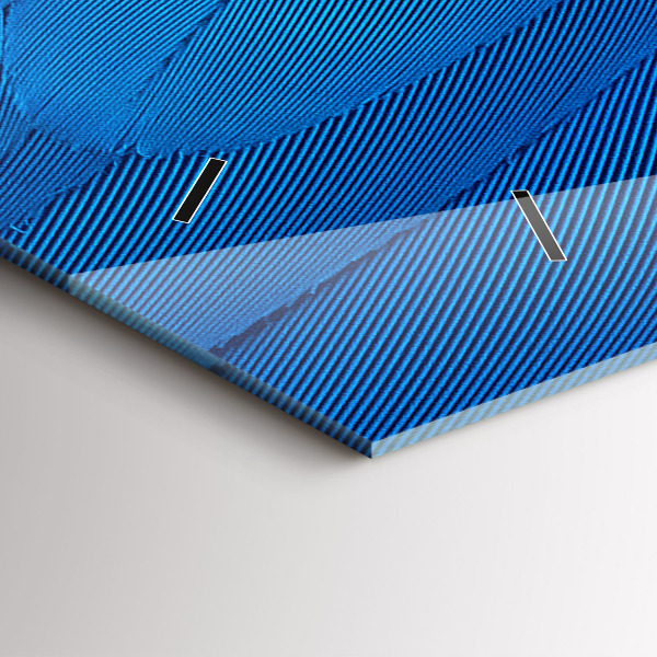 Vízszintes üvegóra Madár toll