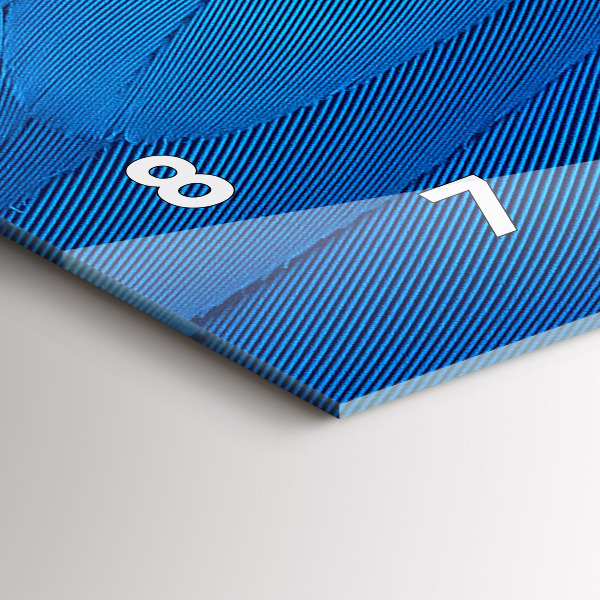 Vízszintes üvegóra Madár toll