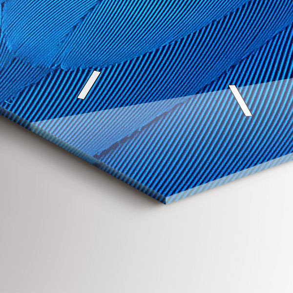 Vízszintes üvegóra Madár toll