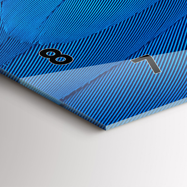 Vízszintes üvegóra Madár toll