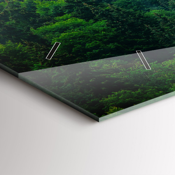 Vízszintes üvegóra Ködös erdő