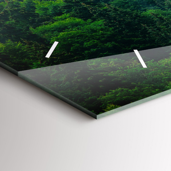 Vízszintes üvegóra Ködös erdő