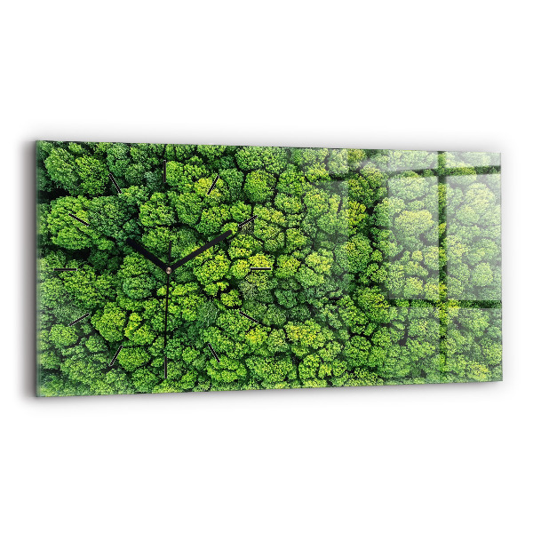 Vízszintes üvegóra Erdő madártávlatból