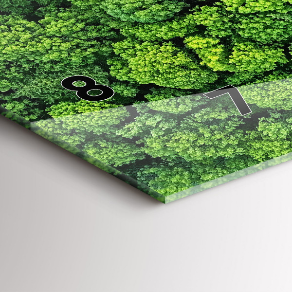 Vízszintes üvegóra Erdő madártávlatból