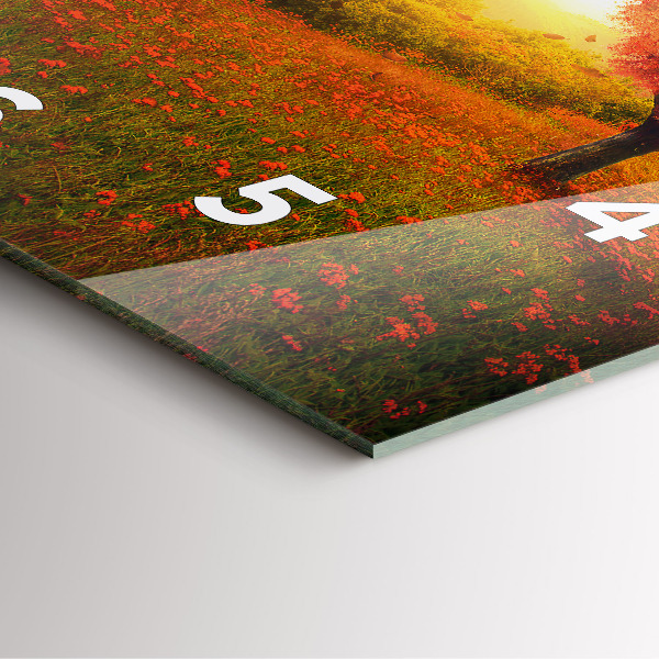 Szögletes fali üvegóra Szerelem szív fa