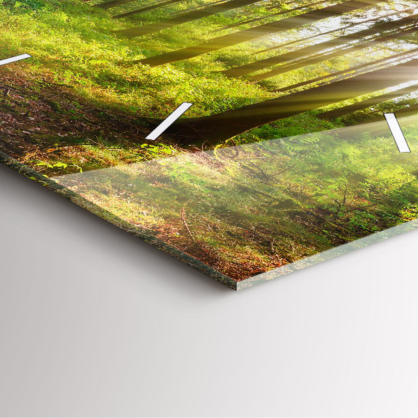 Szögletes fali üvegóra Erdei napfelkelte