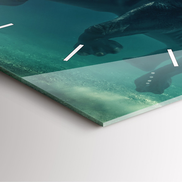 Szögletes fali üvegóra Úszó elefánt az óceánban