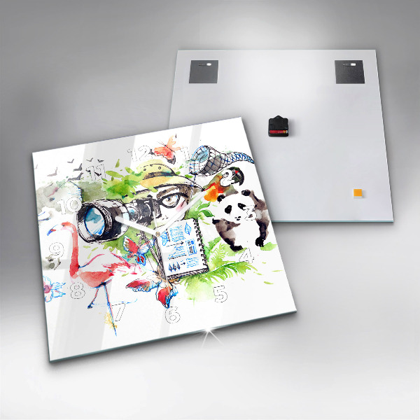 Szögletes fali üvegóra Zoológus