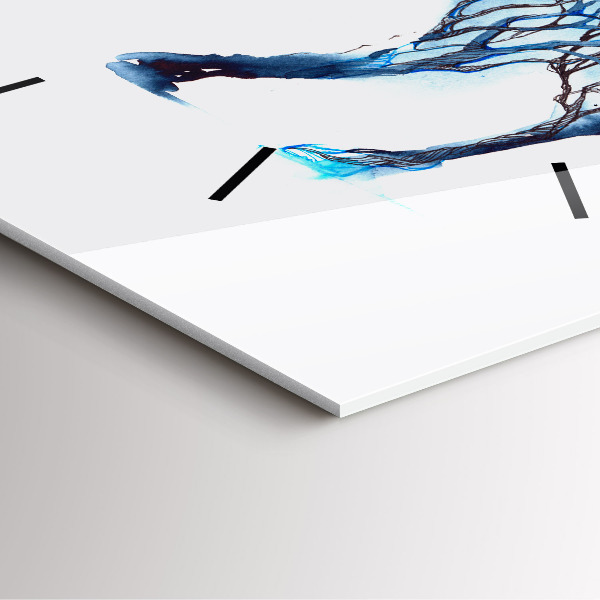 Szögletes fali üvegóra Az állat természete