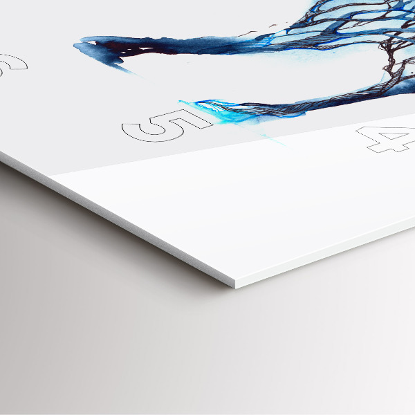 Szögletes fali üvegóra Az állat természete