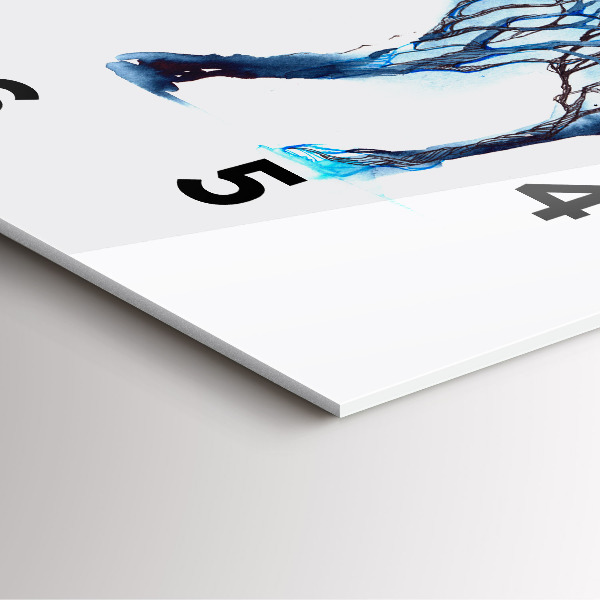 Szögletes fali üvegóra Az állat természete