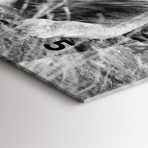 Szögletes fali üvegóra Absztrakció - Oroszlán