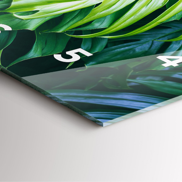 Szögletes fali üvegóra A természet trópusi oldala