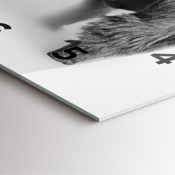 Szögletes fali üvegóra Állatművészeti gyűjtemény