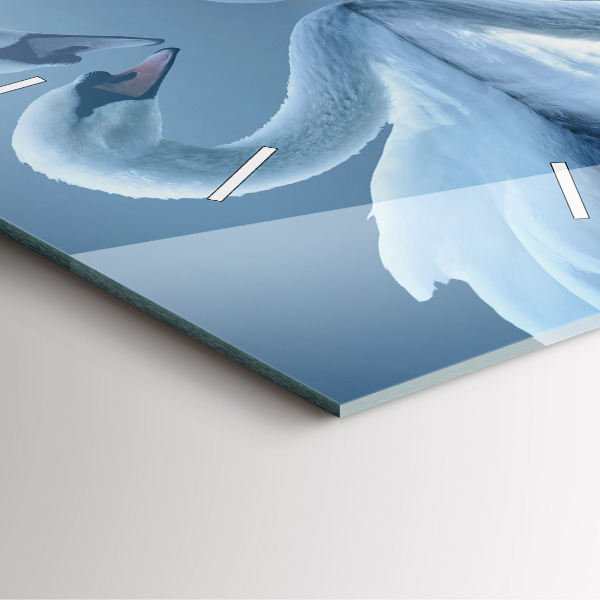 Szögletes fali üvegóra Hattyúk a szívben