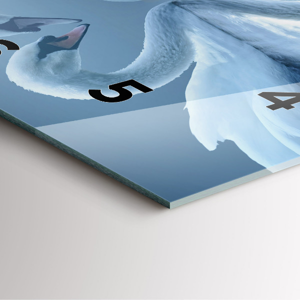 Szögletes fali üvegóra Hattyúk a szívben