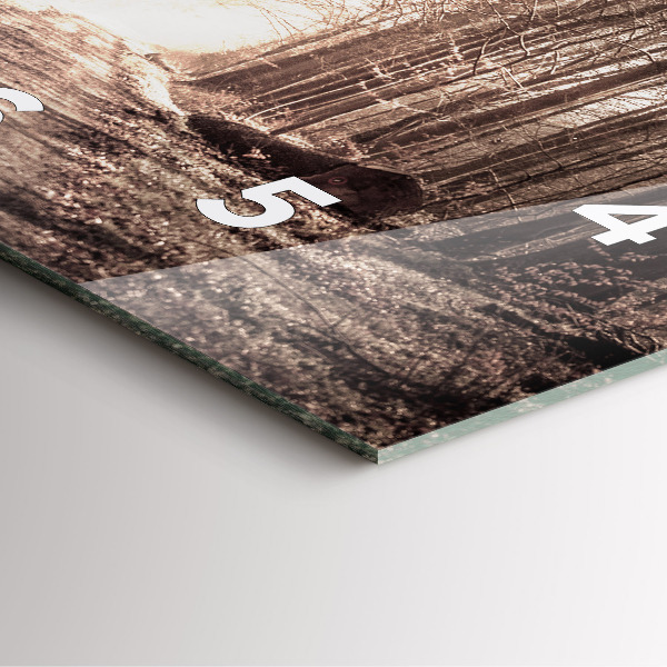 Szögletes fali üvegóra Erdei ösvény szépia