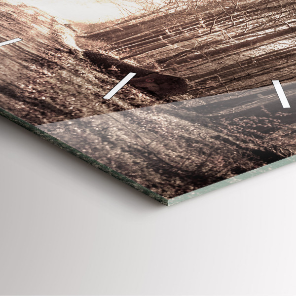 Szögletes fali üvegóra Erdei ösvény szépia