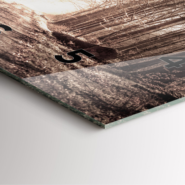 Szögletes fali üvegóra Erdei ösvény szépia