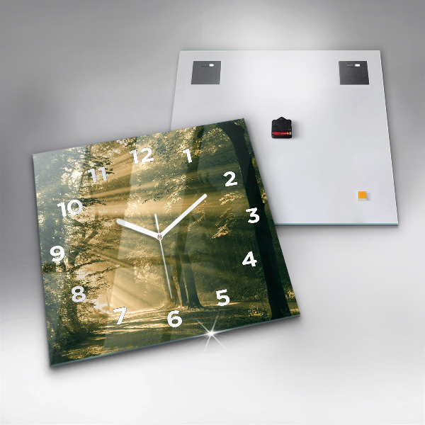 Szögletes fali üvegóra Napsugarak erdő