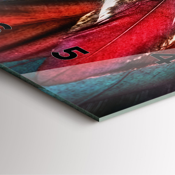 Szögletes fali üvegóra Világosbarna madártollak