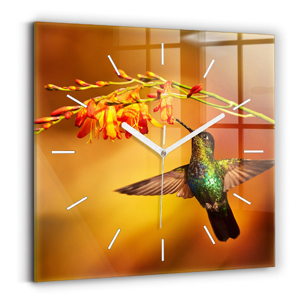 Szögletes fali üvegóra Kolibri madár