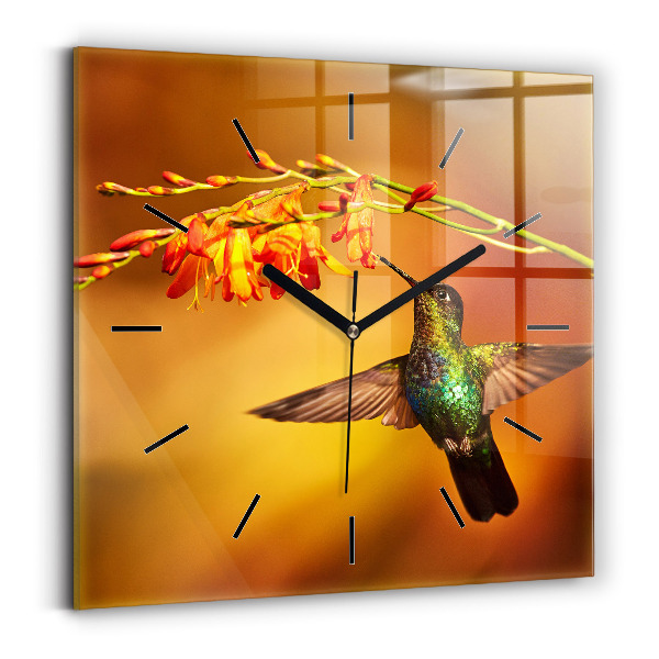 Szögletes fali üvegóra Kolibri madár