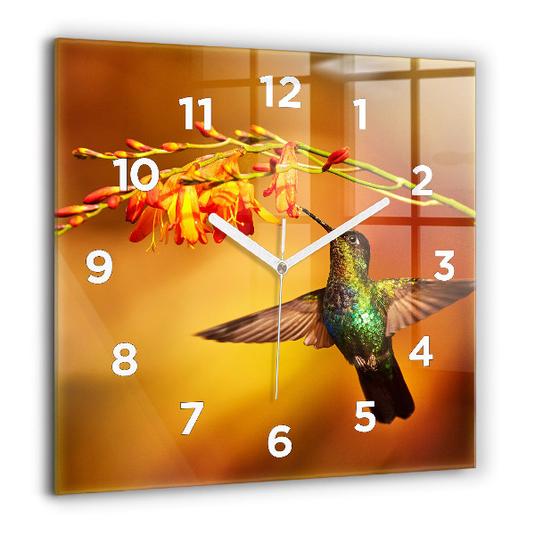 Szögletes fali üvegóra Kolibri madár
