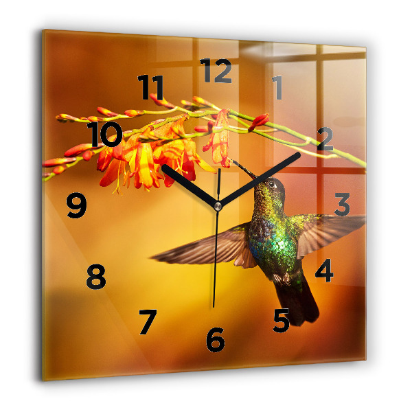 Szögletes fali üvegóra Kolibri madár