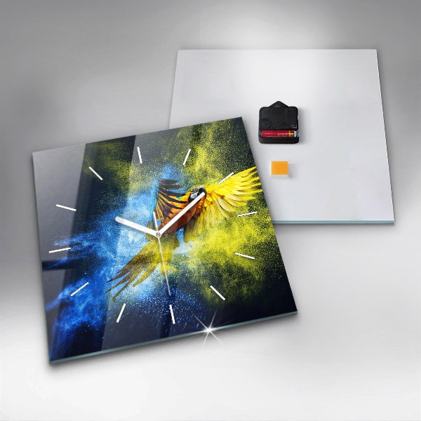 Szögletes fali üvegóra Színes papagáj