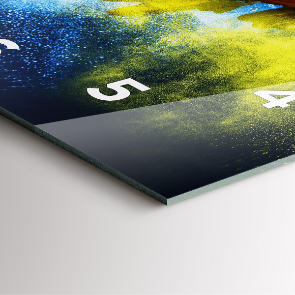 Szögletes fali üvegóra Színes papagáj