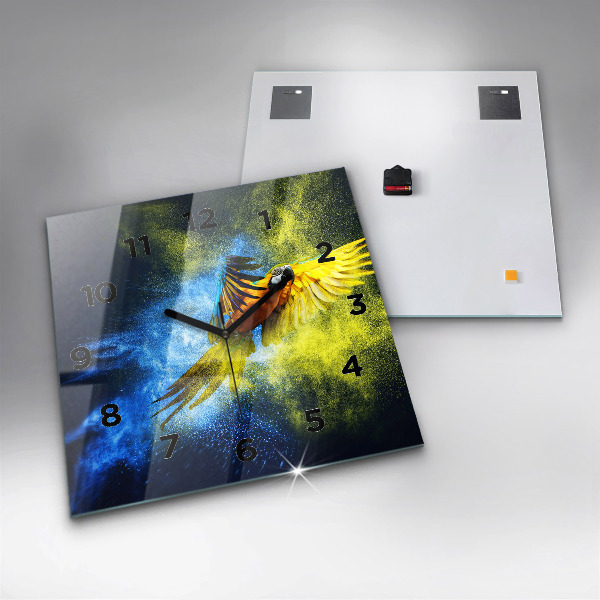 Szögletes fali üvegóra Színes papagáj