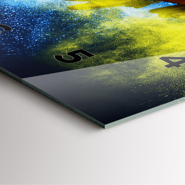 Szögletes fali üvegóra Színes papagáj