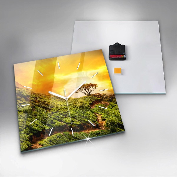 Szögletes fali üvegóra Tea Hill